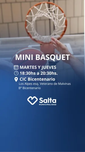 MINI BASQUET