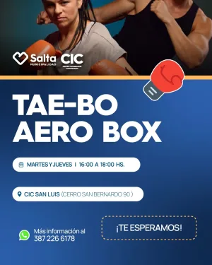 TAE-BO AERO BOX