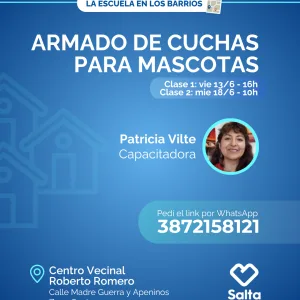Armado de cuchas para mascotas - 13/06/25