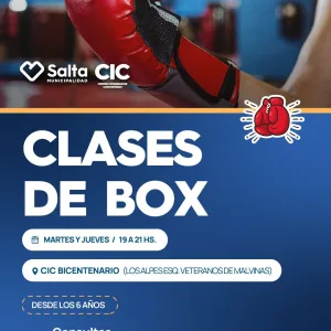 CLASES DE BOXEO