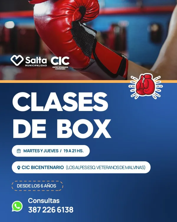 CLASES DE BOXEO