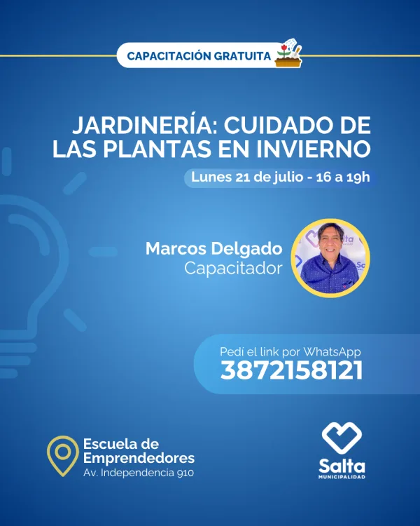 Jardinería: cuidado de las plantas en invierno - 21/07/25