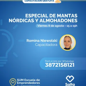 Especial de mantas nórdicas y almohadones - 08/08/25