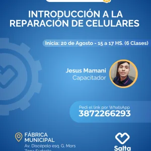 Introducción a la reparación de celulares - 20/08/25