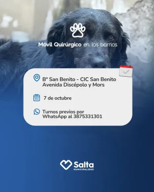 MOVIL QUIRÚRGICO EN LOS BARRIOS - CIC SAN BENITO