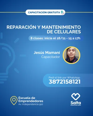 Mantenimiento y reparación de celulares - 18/11/25