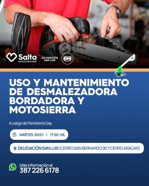 USO Y MANTENIMIENTO DE DESMALEZADORA, BORDADORA Y MOTOSIERRA