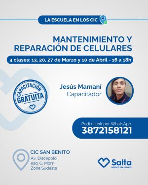 Mantenimiento y reparación de celulares - 13/03/2026