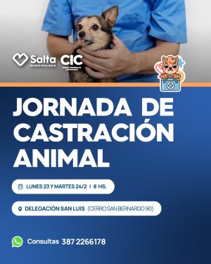 JORNADA DE CASTRACION ANIMAL