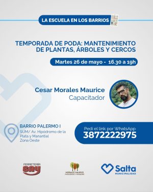 Temporada de poda: mantenimiento de plantas, árboles y cercos - 26/05/2026