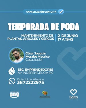 Temporada de poda: mantenimiento de plantas, árboles y cercos - 02/06/2026