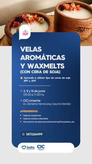 VELAS AROMATICAS Y WAXMELTS - CIC LIMACHE