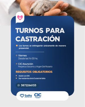 CASTRACION ANIMAL