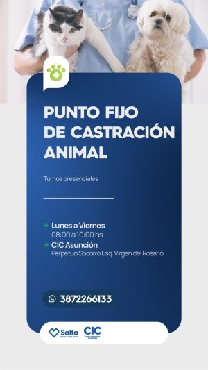 PUNTO FIJO / CASTRACION ANIMAL
