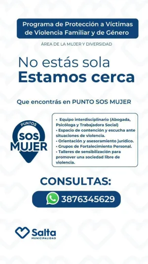 PROGRAMA DE PROTECCION A VICTIMAS DE VIOLENCIA FAMILIAR Y DE GENERO. CIC SOLIDARIDAD