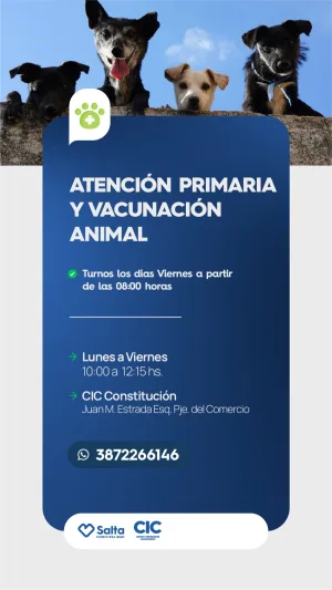 BIENESTAR ANIMAL, ATENCION PRIMARIA Y VACUNACION- CIC CONSTITUCION
