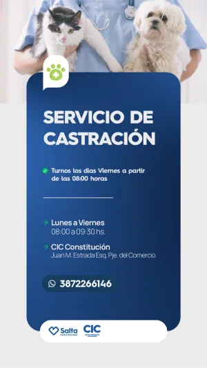 BIENESTAR ANIMAL, CASTRACIONES - CIC CONSTITUCION