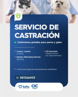 CASTRACION ANIMAL-TURNOS PROGRAMADOS MAÑANA Y TARDE