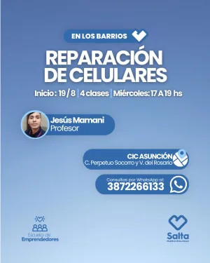 REPARACION DE CELULARES