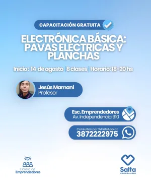 Electrónica básica: pavas eléctricas y planchas - 14/08/2026