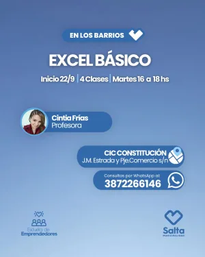 EXCEL BASICO - CIC CONSTITUCION