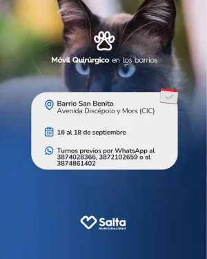 Móvil Quirúrgico ( Castracion) CIC SAN BENITO