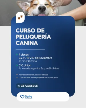 CURSO DE PELUQUERÍA CANINA-CIC UNIÓN